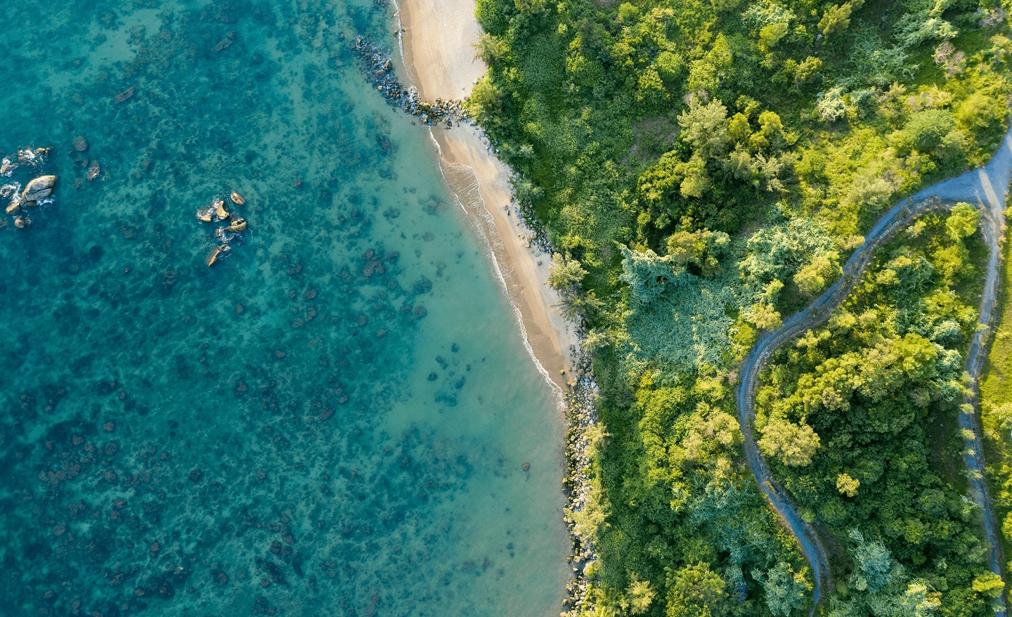Ekosistem pantai